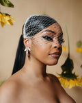 Shinning Cage Veil